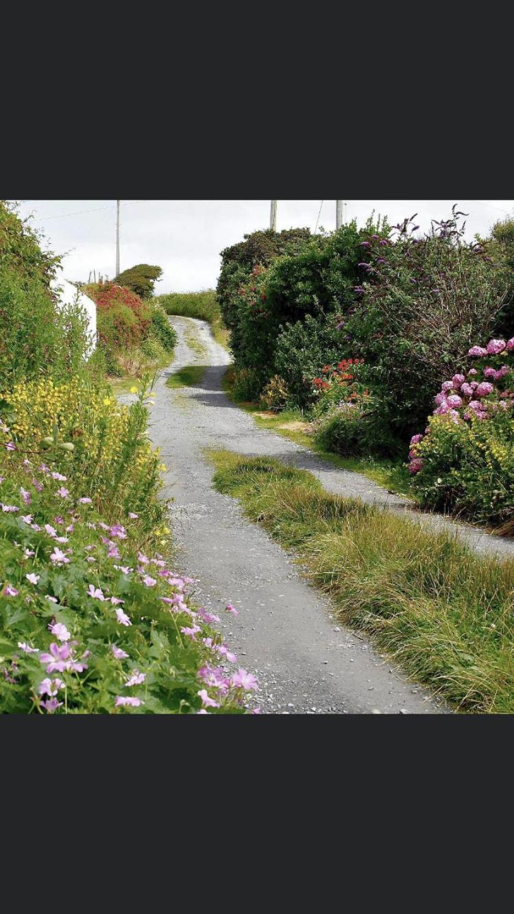 Spectacular Ocean Views & Minutes To Cliffs- Clahane Shore Lodge Liscannor Exterior photo